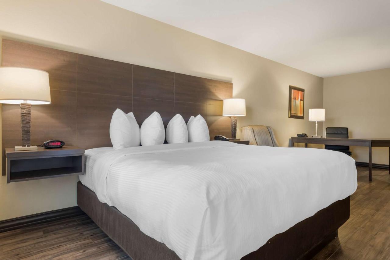 Best Western Plus Saint John Hotel & Suites Екстер'єр фото