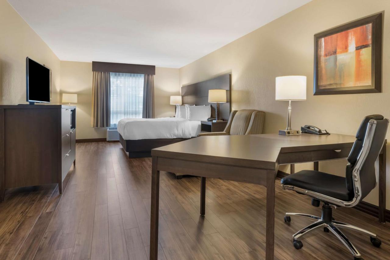 Best Western Plus Saint John Hotel & Suites Екстер'єр фото